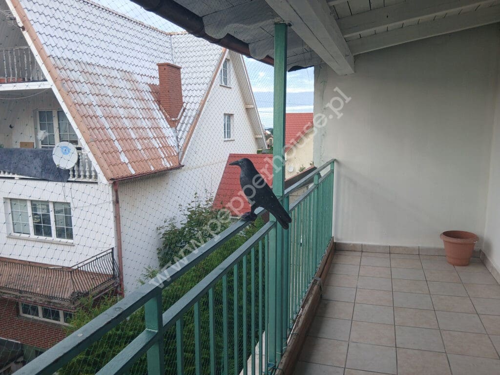 , pomorskie, Pogórze, Antoniego Abrahama - listing photo no. 11