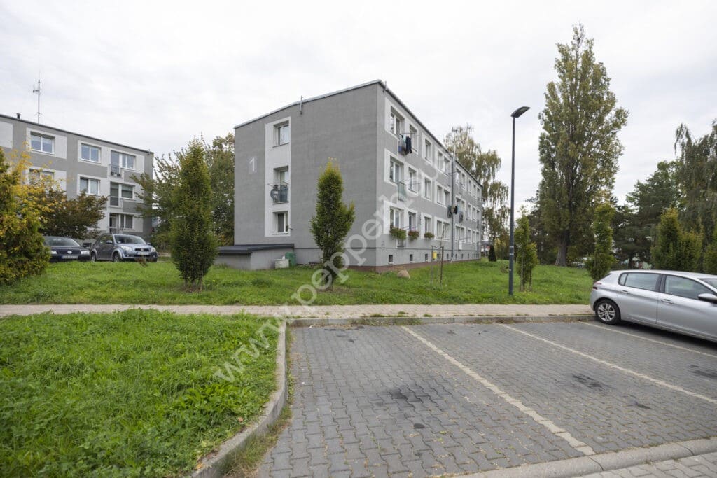 , pomorskie, Pruszcz Gdański, prof. Mariana Raciborskiego - listing photo no. 14