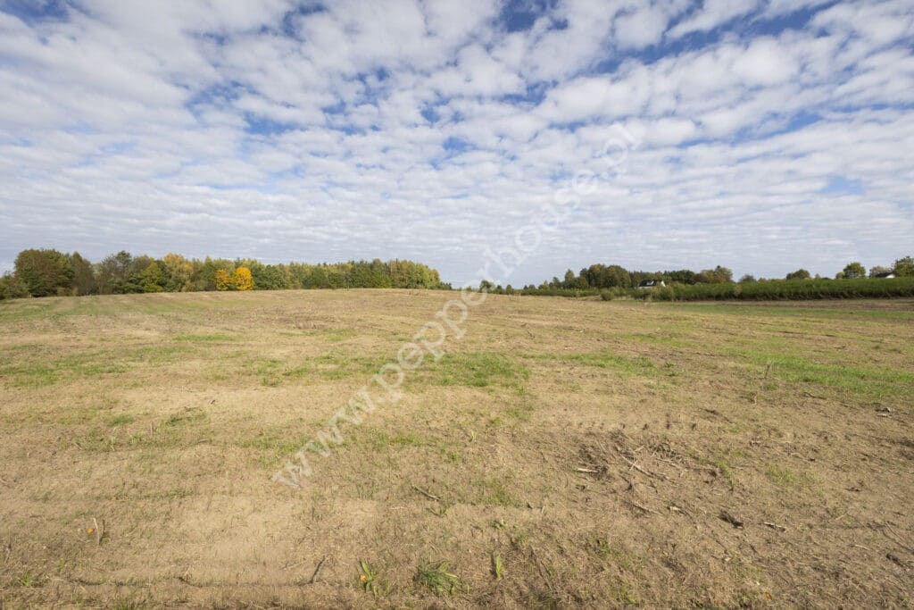 , pomorskie, Staniszewo, Rajska - listing photo no. 2