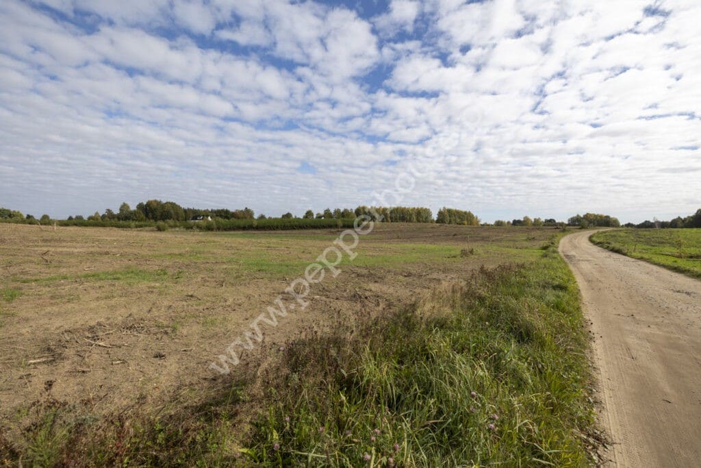 , pomorskie, Staniszewo, Rajska - listing photo no. 3