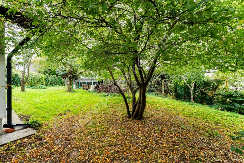 , warmińsko-mazurskie, Kurzętnik - listing photo no. 20